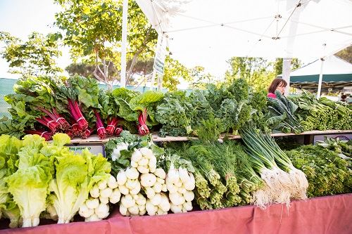 dublin-farmers-market-175.jpg